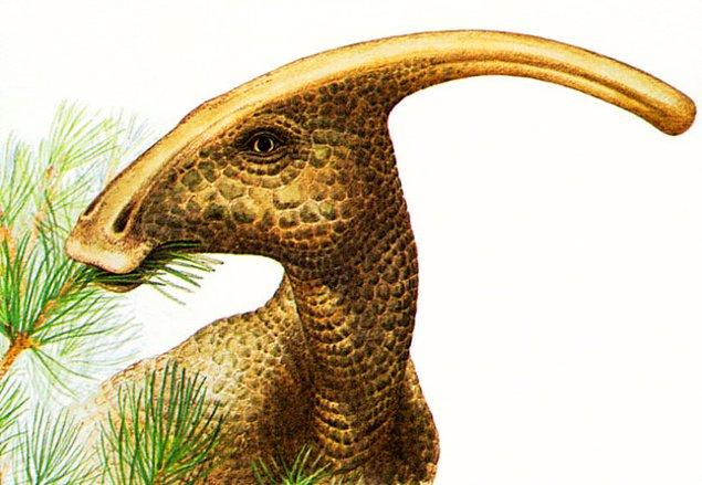 7. Dinozorların nasıl ses çıkardığını nasıl biliyoruz?