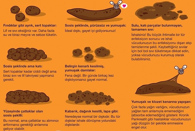 İdeal kaka tek parça halinde suda batan kakadır.