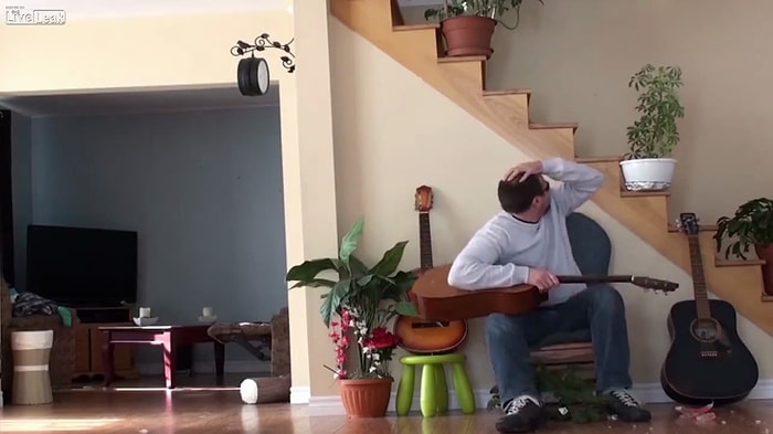 Yerinden Olan Kedinin Acı İntikamı