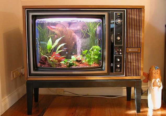 1. Öncesi: TV / Sonrası: Akvaryum