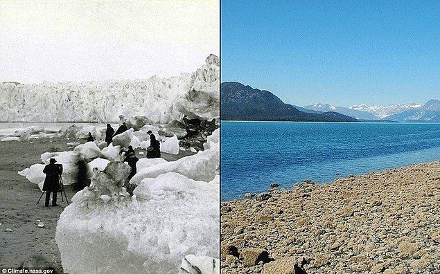 Alaska’daki Muir Buzulu 1890 – 2005