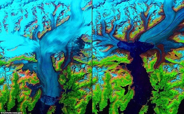 Alaska’daki Columbia Buzulu 1986 -2014