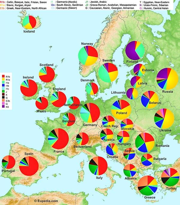 Avrupa Genetik Haritası