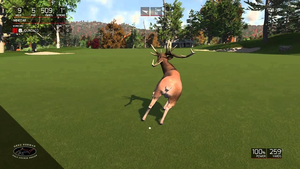 Oyunda Yerden Seken Golf Topu ile Ölen Geyik