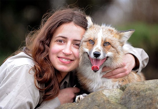 Kendini Köpek Sanan ve Bir İnsan Tarafından Yetiştirilen Tilkinin İlginç Hikayesi