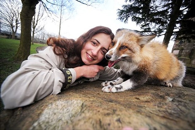 ''Diğer iki köpeğimle iyi geçiniyor, onlarla her zaman oyun oynamak istiyor.''
