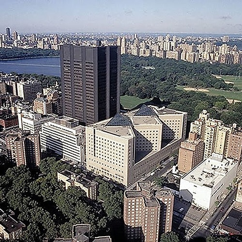 Mount Sinai Tıp Merkezi, New York