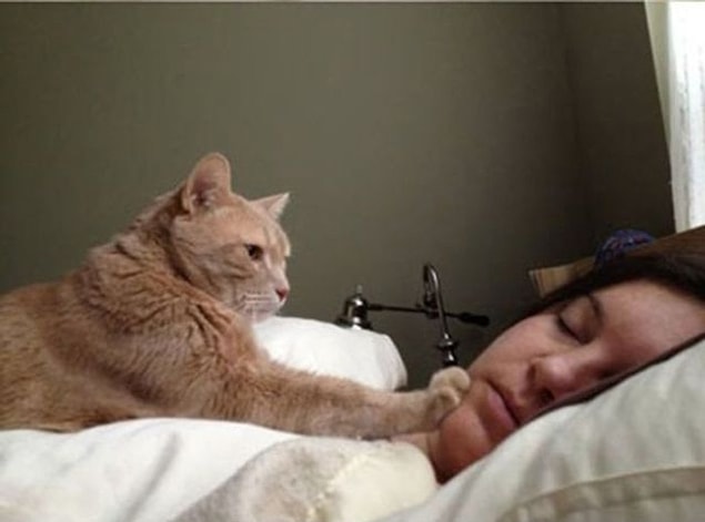 14. Gerçek aşkın kedi olsun, köpek olsun, hamster olsun ama insan olmasın(!) mantığına dayandığını çok iyi bilirsiniz.