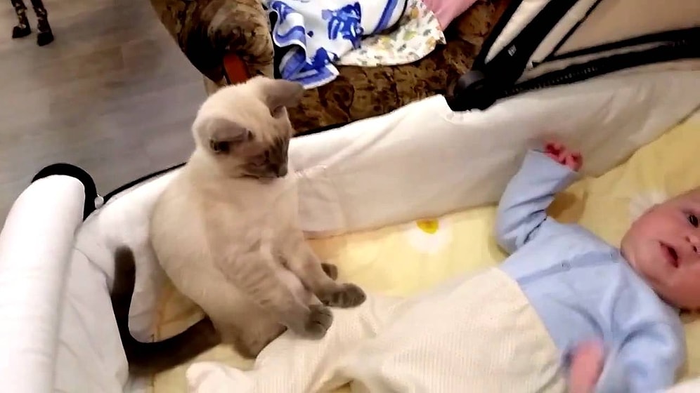 Bebeği Sakinleştirmeyi Kendine Görev Edinen Sevimli Kedi