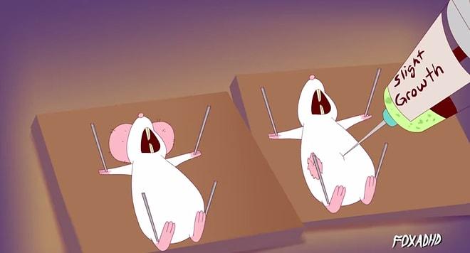 Hayvanlar Üzerinde Yapılan 'Korkunç' Deneyleri Anlatan Çizgi Film: Pinky And The Brain