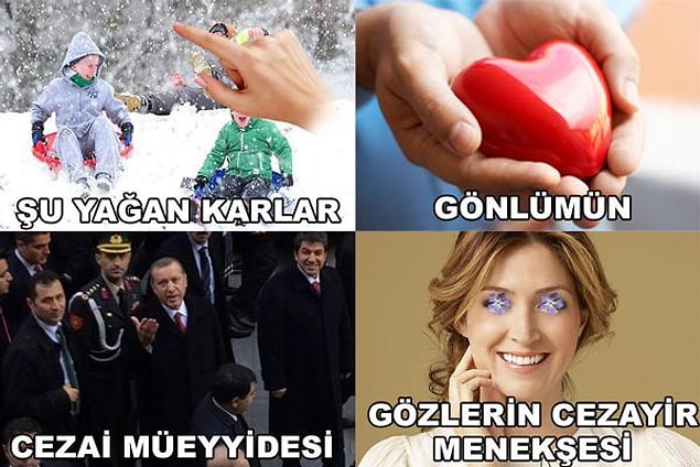13. Yaşar - Cezayir Menekşesi