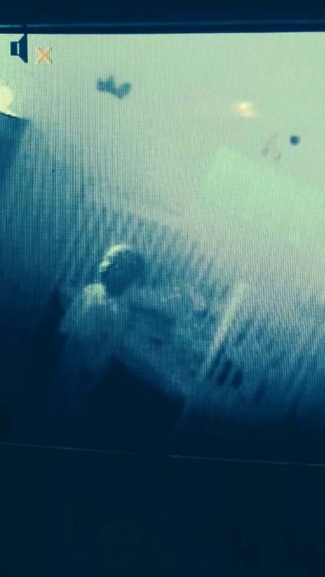 14. Paranormal bebek