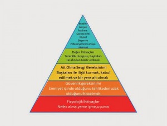 İnsanlığın Matematiği