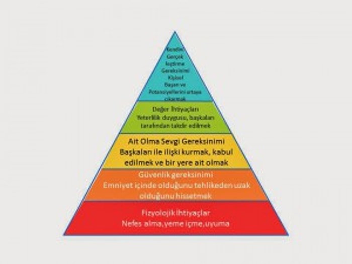 İnsanlığın Matematiği