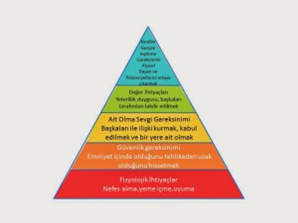 İnsanlığın Matematiği
