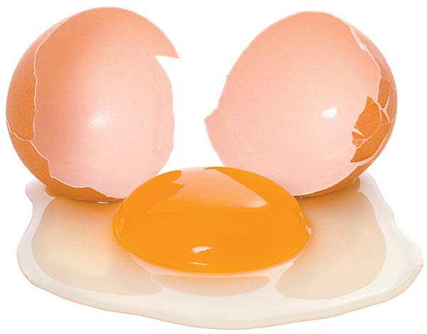 Yumurta, bilinen en büyük üreme hücresidir ve aynı zamanda insanla...
