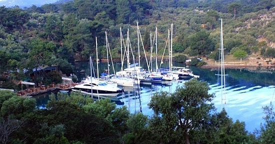 Göcek'teki Göbün Koyu'nun İhalesi Tamamlandı...