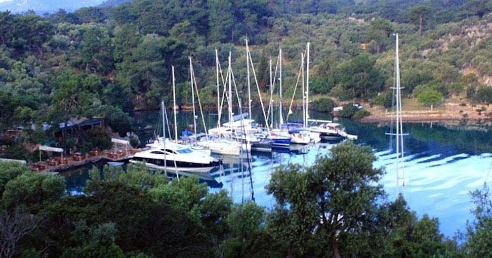 Göcek'teki Göbün Koyu'nun İhalesi Tamamlandı...