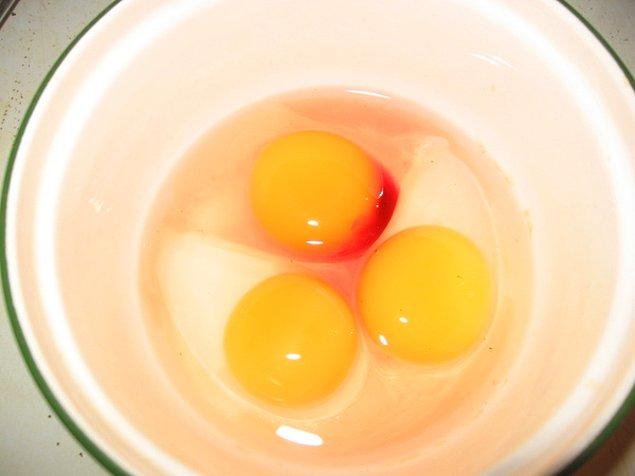 11. Yumurtanın döllü olup olmadığı nasıl anlaşılır? Kan lekesi yumurtanın döllü olduğunun kanıtı mıdır?