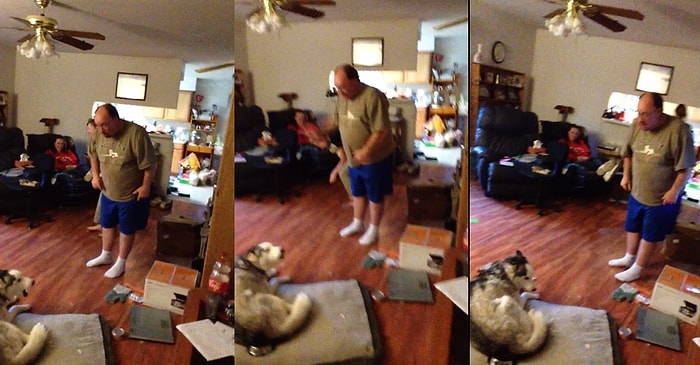 Sahibinin Tabağından Yemeğini Çalan Köpeğin Umursamaz Tavırları