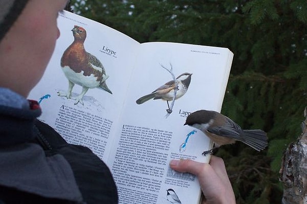 1. Кто-то говорил обо мне?