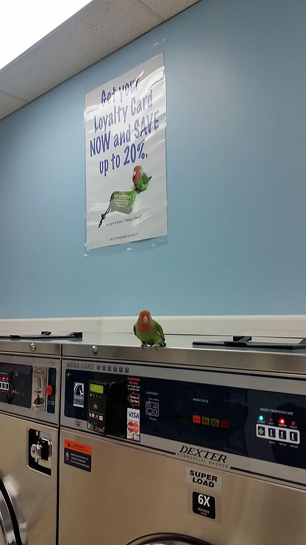 22. Мир тесен.