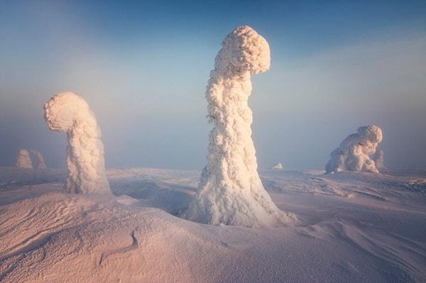 1. Kuzey Kutbu Fedaileri - Finlandiya