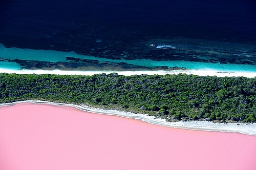 Pembe Göl - Avustralya