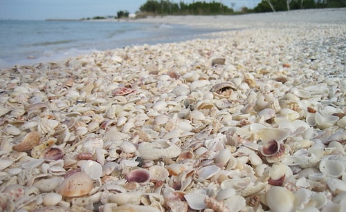 Sanibel Adası - Florida, ABD