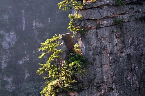 Tianzi Dağları - Çin