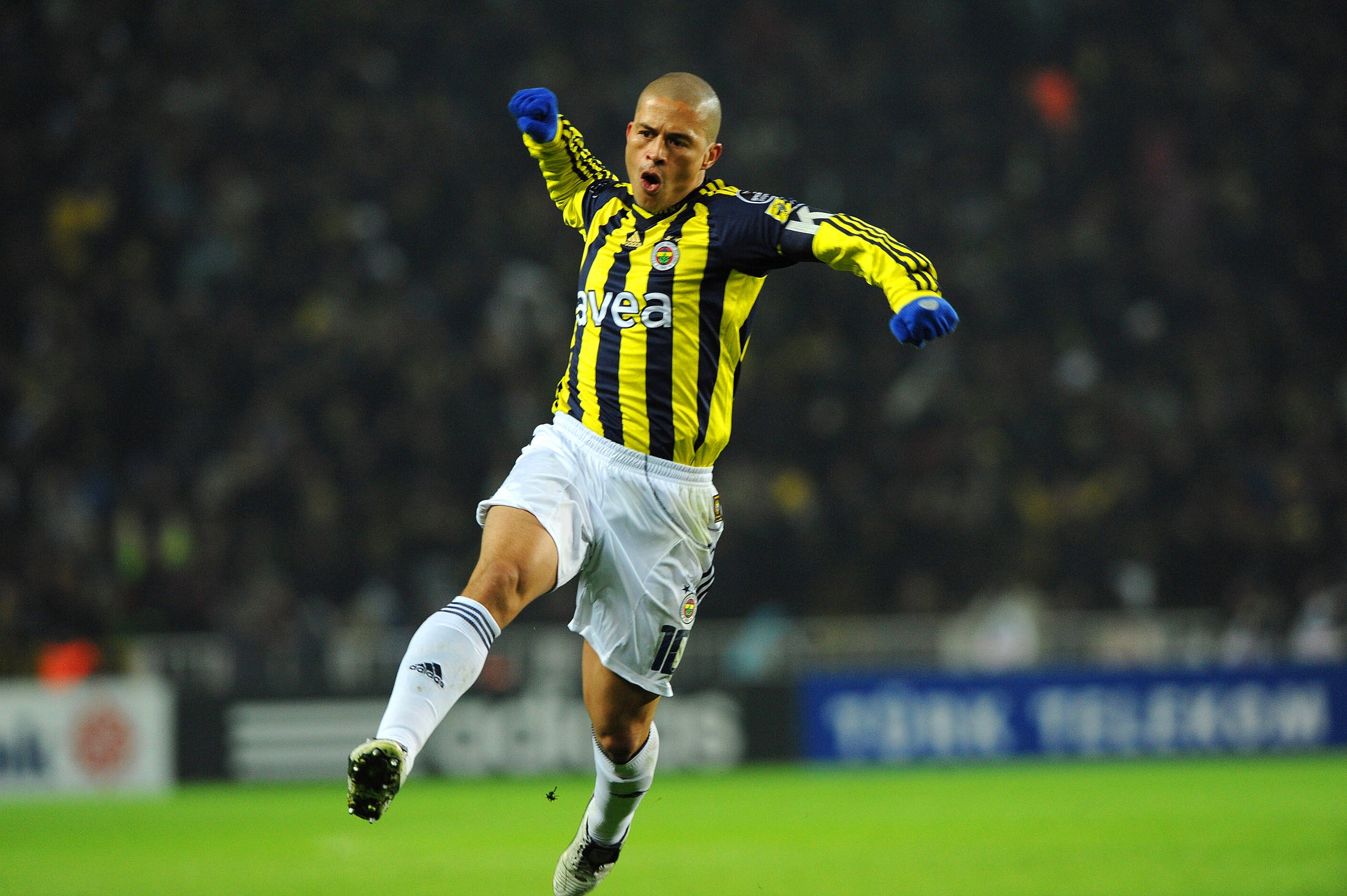 Alex he. Alex de Souza. Alex de Souza Fenerbahce. Alex. Alex fexs.