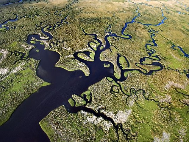 1. Everglades, Florida