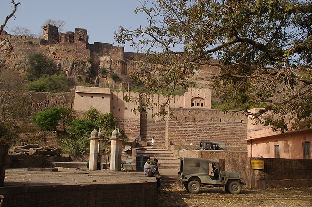 4. Ranthambore Ulusal Parkı, Hindistan