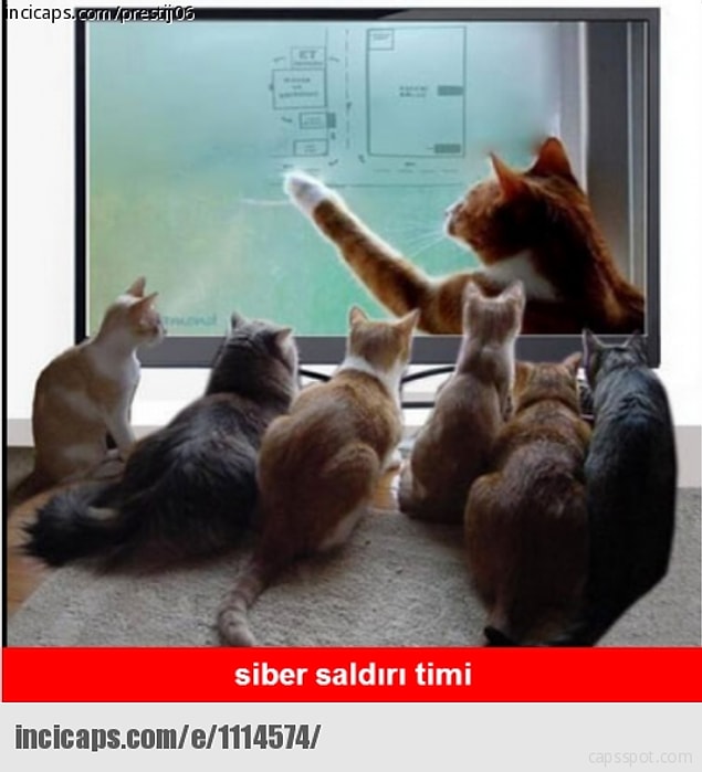 7.