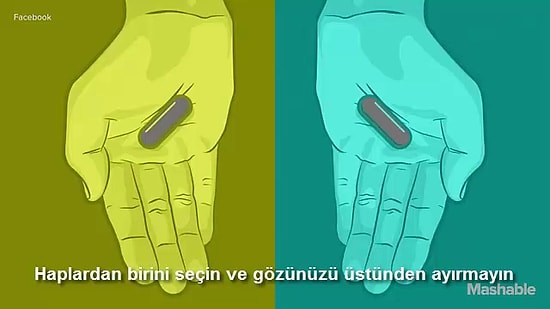 Beynimiz Bizimle Maytap Geçiyor