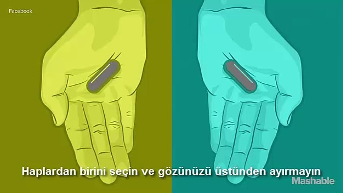 Beynimiz Bizimle Maytap Geçiyor