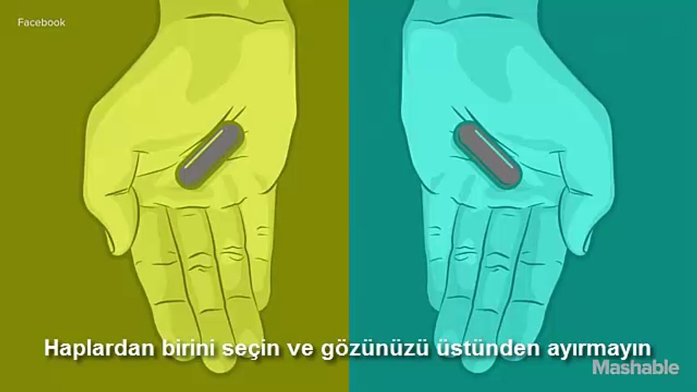 Beynimiz Bizimle Maytap Geçiyor