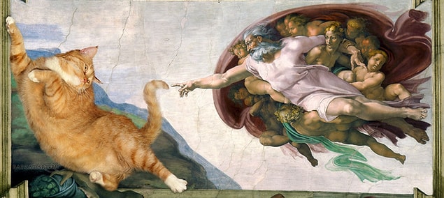 6. Kedi'nin Yaratılışı