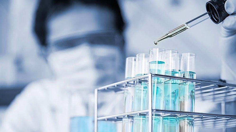 Domuz Gribinden Ölenlerin Sayısı 43'ü Buldu