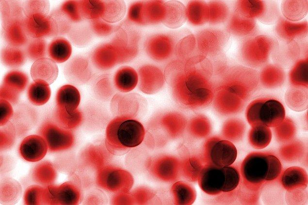 10. Kırmızı bir kan hücresi vücudunuzu 20 saniye içinde dolaşabilir.