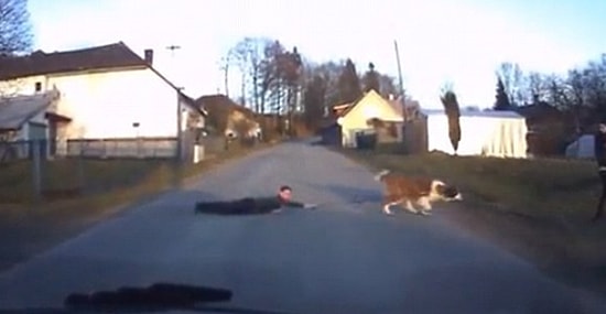 Yolda Şaşkına Çeviren Görüntü