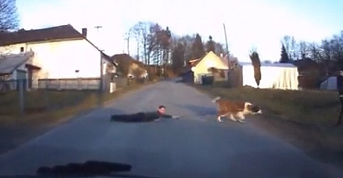 Yolda Şaşkına Çeviren Görüntü