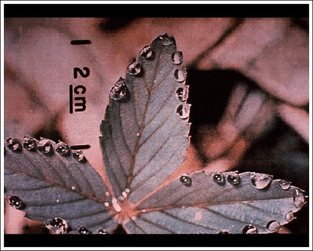 3.