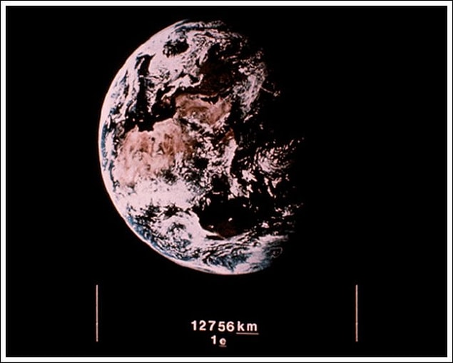 81.