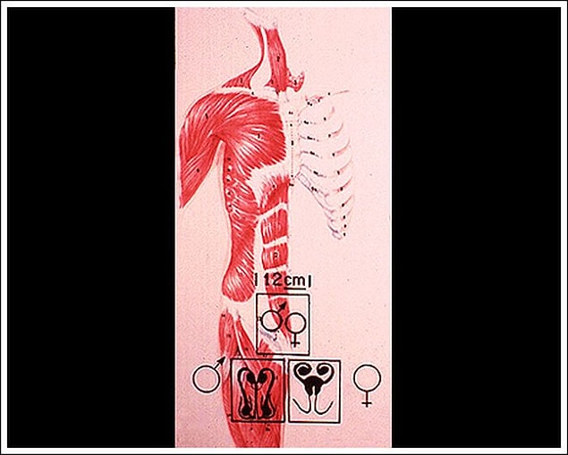 96.