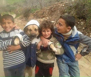 Seçil Profil Resmi