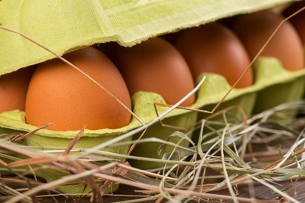 Kahverengi yumurtalar beyaz olanlardan daha sağlıklıdır.