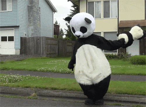 Hepimizin Birer Panda Olduğunu Kanıtlayan 12 Benzer Özellik - onedio.com
