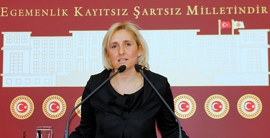 CHP'li Melda Onur'dan Beş Bakanlığa Katırlar ile İlgili Soru Önergesi