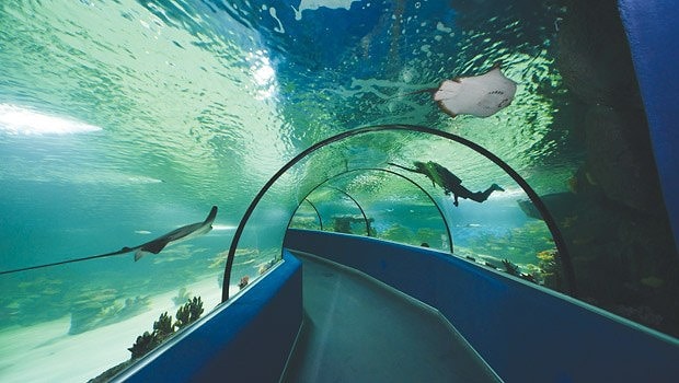 eskisehir in buyuk bir sehir oldugunun 14 kaniti